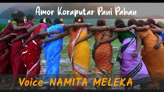 Amor Koraputar Pani Paban Namita meleka Koraputia songs [upl. by Westphal]