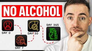 Quit Drinking Alcohol Timeline Days 0 to 365 Here’s Exactly What To Expect… [upl. by Aruat301]