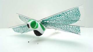 FlyTech Wow Wee Dragonfly indoor flying insect aircraft [upl. by Rinna]