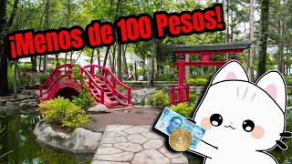 ¿Qué hacer BARATO en CDMX Actividades con menos de 100 pesos [upl. by Iatnwahs193]