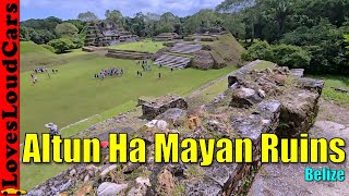 Altun Ha Mayan Ruins in Belize [upl. by Cerelly598]