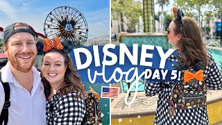 DISNEYLAND VLOG 🎢 DAY 5 👋 Carthay Circle Lounge BIG Attractions amp The Outlets at Orange Shopping [upl. by Nora16]