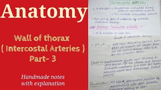 Wall of thorax  Intercostal Arteries  Part 3 Anatomy By Namita Ussara [upl. by Quartas]