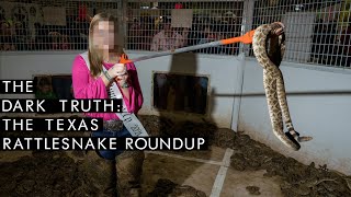 The Texas Rattlesnake Roundup The Dark Truth [upl. by Birecree]