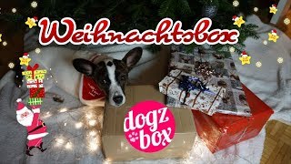 DogzBox Weihnachten 🎅🏻🐶  Specialbox  XMas 2017 [upl. by Behnken]