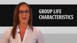 7 Group Life Insurance [upl. by Pebrook]