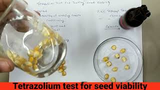 कैसे जाने की बीज जीवित है या नही।Tetrazolium Test For Testing Seed viability जीवन क्षमता परीक्षण [upl. by Acira]