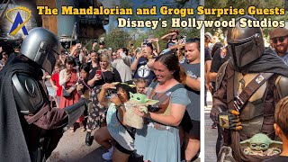 The Mandalorian and Grogu Surprise Guests at Disneys Hollywood Studios at Star Wars Galaxys Edge [upl. by Aneele]