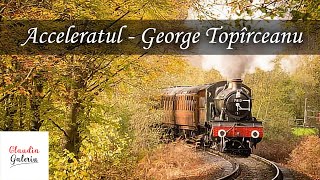 Acceleratul George Topirceanu  Acceleratul Proiect Didactic  Poezii pt Copii de George Topirceanu [upl. by Anigroeg]