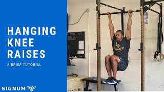 The Hanging Knee Raise  A Tutorial [upl. by Onitrof]