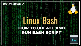 How to Create and Run a Bash Script in Linux [upl. by Cochard357]