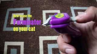 How To Use The FURminator On Your Cat [upl. by Darb]