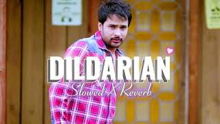 Dildarian  Amrinder Gill  Slowed amp Reverb  slowedandreverb [upl. by Thilde]