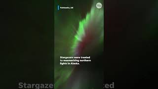 Stunning aurora erupts above observers Shorts [upl. by Innoc528]