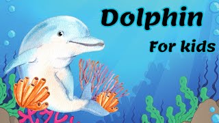 Dolphin  all about dolphin for kids  Amazing animal facts [upl. by Bamford804]