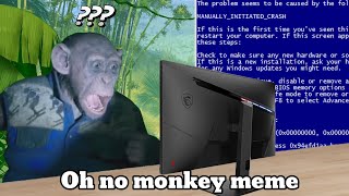 Oh no monkey meme [upl. by Unam]