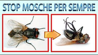 ELIMINA MOSCHE A COSTO ZERO e zanzare eliminare definitivamente mosche in modo ecologico [upl. by Aniuqahs]