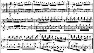 Beethoven  Diabelli Variations Op 120 Grigory Sokolov [upl. by Piers]