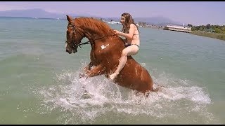 вяєαтн  Swimming horses  GoPro Video [upl. by Rbma587]