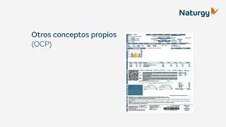 Conoce los conceptos de tu Estado de Cuenta  Factura Naturgy [upl. by Eedya]