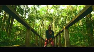 WizKid Feat Femi Kuti  Jaiye Jaiye Official Video [upl. by Deina]