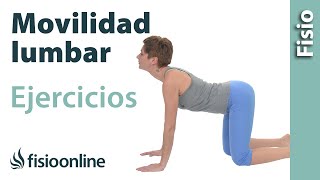 Ejercicio de movilidad y flexibilidad lumbar  Gato y mahometano [upl. by Boehike503]