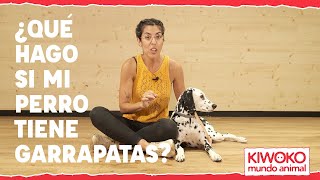 🐶Cómo quitar garrapatas a mi perro [upl. by Notrem]