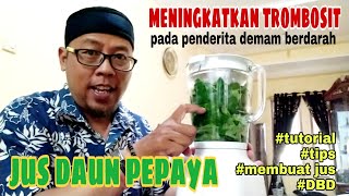 Cara Membuat Jus Daun Pepaya ObatDBD  MeningkatkanTrombosit [upl. by Helenka]