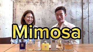 Paul’s Selection EP117 Thai  Mimosa perfumes ranked by Bowwayachi [upl. by Adleremse]