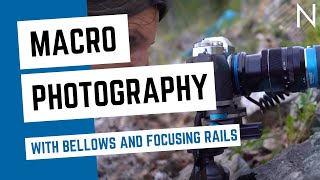 Macro Photography with Bellows and Focusing Rails [upl. by Nakre]