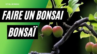 Comment faire un BONSAÏ avec un POMMIER [upl. by Weinman]