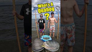 How do you find and catch Quahog Clams Digging for Seafood [upl. by Aim]