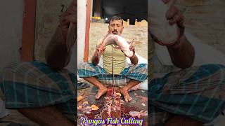 Wonderful Giant Pangas Fish Cutting Techniques  Skinless Fish Cutting [upl. by Shawnee]