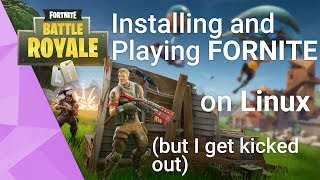 Installing and Playing Fortnite on Linux to a point [upl. by Frechette721]