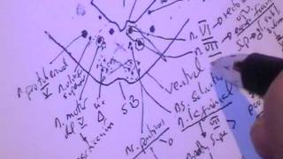 NEUROANATOMIA 20 TALLO CEREBRAL PUENTE Configuracion Interna [upl. by Aimee]