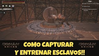 Como capturar y entrenar esclavos Conan Exiles [upl. by Mathe]