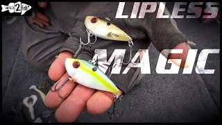 4 Prespawn Bass Fishing Tips for Lipless Crankbaits [upl. by Intyrb]