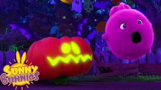 SUNNY BUNNIES  Spooky Pumpkin  Halloween Special 🎃 👻  Season 4  Cartoons for Children [upl. by Aronle]