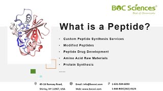 What is a Peptide  Peptides  Amino Acids  Peptide Synthesis  BOC Sciences [upl. by Areema]