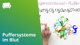 Puffersysteme im Blut  Chemie  Chemie des Menschen [upl. by Attiuqaj]