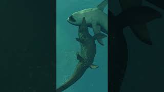 Megalodon ATTACKS Mosasaur [upl. by Loris845]