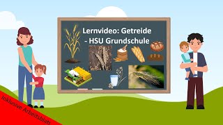 Lernvideo Getreide 🌾 HSU Grundschule [upl. by Karp360]