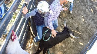 Seven Year Old Bull Rider  These Kids Are Fearless [upl. by Airogerg]