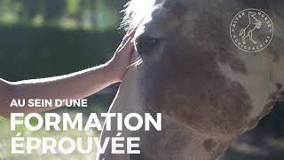 Formation Devenir Equicoach par Alter Horse Equicoaching [upl. by Efron]