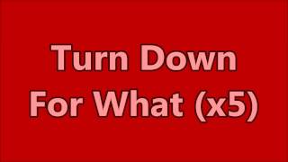 Turn Down For What ft Pitbull amp Ludacris Explicit LYRIC V [upl. by Nnylsaj]