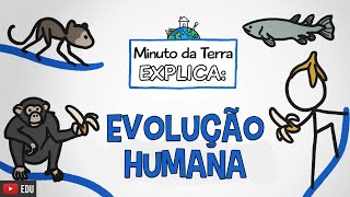 Minuto da Terra Explica A Evolução Humana [upl. by Ahseem]