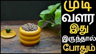 விழுந்த முடி மீண்டும் வளர 1 TSP ஆளி விதை AALI VITHAI இருந்தால் போதும்  Flaxseed For Hair Growth [upl. by Ardnasac]