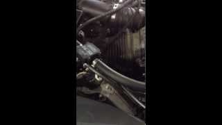 Car Gas Systems  Lexus LS 460 on LPG [upl. by Aneres]