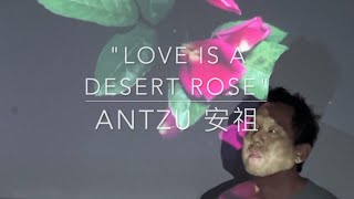 Antzu quotLove is a Desert Rosequot MV 吟唱詩人安祖 [upl. by Ettenad]