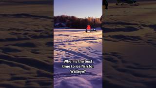 When is the best time to ice fish for Walleye [upl. by Lorena592]